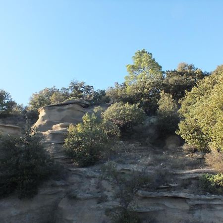 Une Ronce Sous Le Figuier Rousset-les-Vignes Екстериор снимка