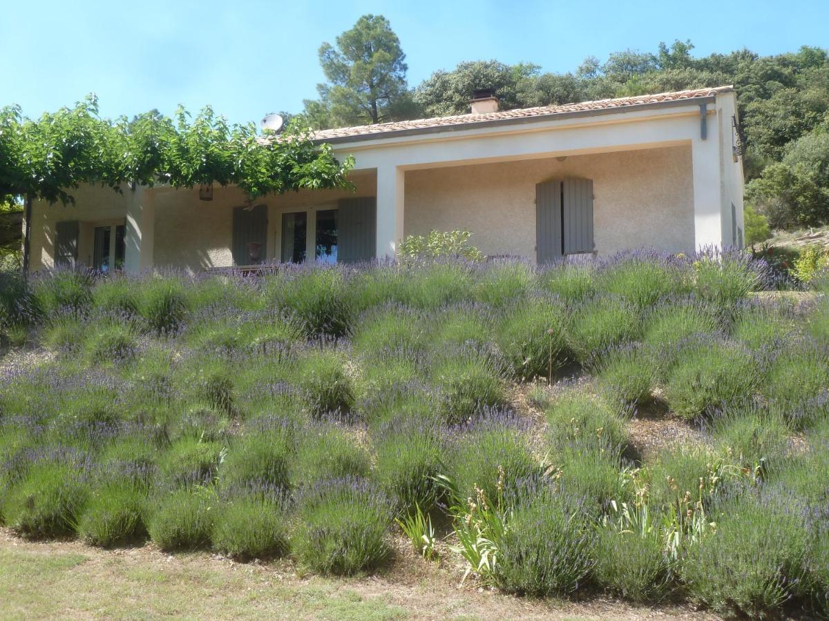 Une Ronce Sous Le Figuier Rousset-les-Vignes Екстериор снимка