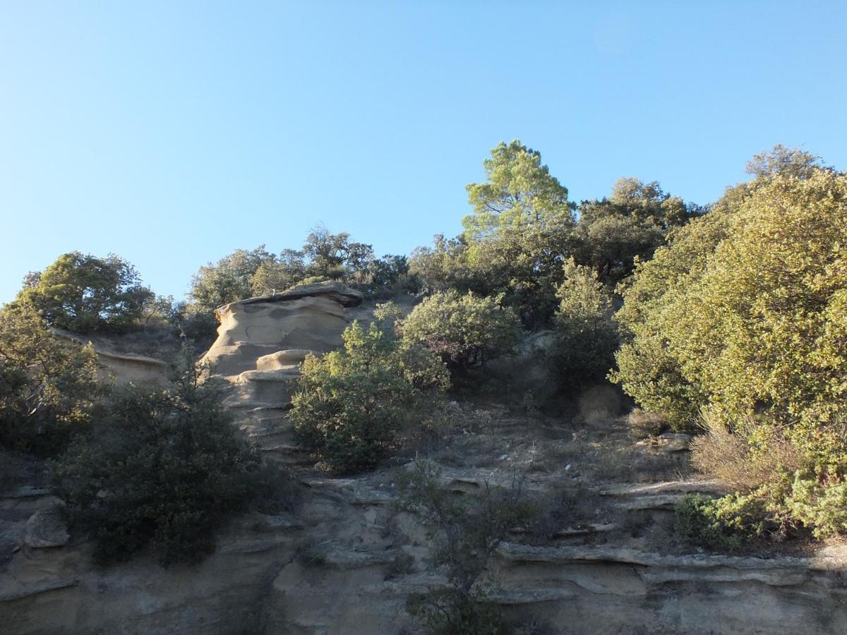 Une Ronce Sous Le Figuier Rousset-les-Vignes Екстериор снимка
